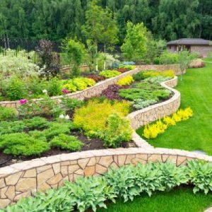 Columbia Commercial Landscaping | Success Revitalizing a Neglected Property