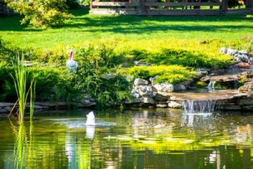 pond-near-garage-commercial-landscaping-columbia